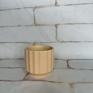 Jungle Club “Monroe” Planter – Vanilla | 3”